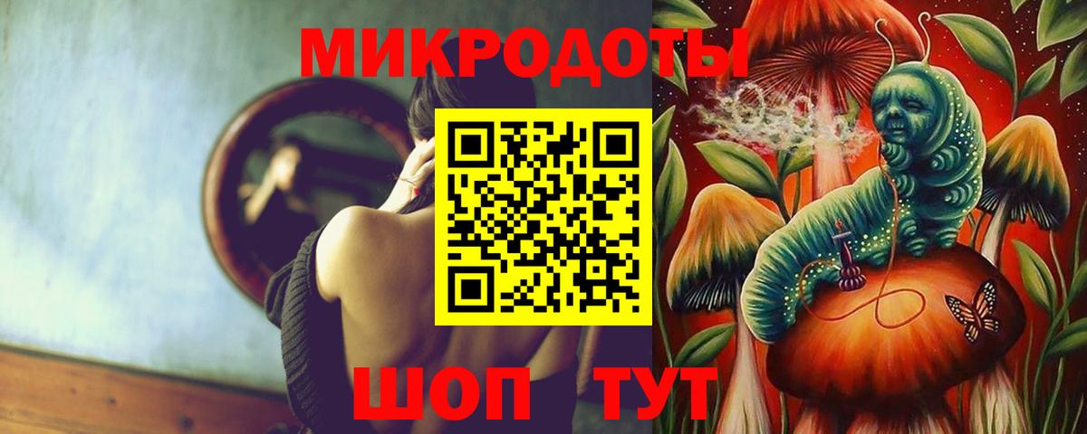 Псилоцибиновые грибы Psilocybe  Вход с VPN  Михайловка 